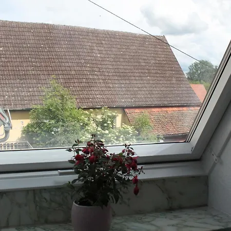 Gasthuis Metzgerei Und Wolz 3*