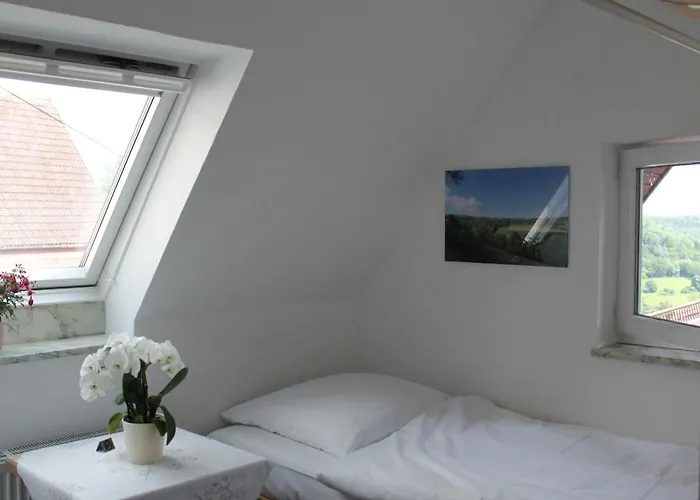 Πανσιόν Metzgerei Und Wolz Langenburg